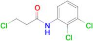 3-Chloro-N-(2,3-dichlorophenyl)propanamide