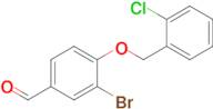 3-Bromo-4-((2-chlorobenzyl)oxy)benzaldehyde