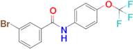 3-Bromo-N-(4-(trifluoromethoxy)phenyl)benzamide