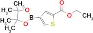 Ethyl 4-(4,4,5,5-tetramethyl-1,3,2-dioxaborolan-2-yl)thiophene-2-carboxylate