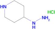 4-Hydrazinylpiperidine hydrochloride