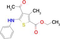 Ethyl 4-acetyl-3-methyl-5-(phenylamino)thiophene-2-carboxylate