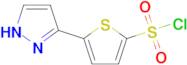 5-(1H-pyrazol-3-yl)thiophene-2-sulfonyl chloride