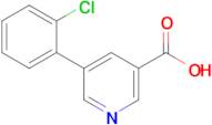 5-(2-Chlorophenyl)nicotinic acid