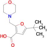 5-(Tert-butyl)-2-(morpholinomethyl)furan-3-carboxylic acid