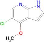 5-chloro-4-methoxy-1H-pyrrolo[2,3-b]pyridine