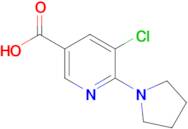 5-Chloro-6-(pyrrolidin-1-yl)nicotinic acid