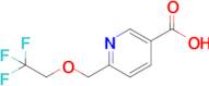 6-((2,2,2-Trifluoroethoxy)methyl)nicotinic acid