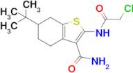 6-(Tert-butyl)-2-(2-chloroacetamido)-4,5,6,7-tetrahydrobenzo[b]thiophene-3-carboxamide