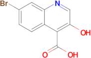 7-Bromo-3-hydroxyquinoline-4-carboxylic acid