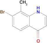 7-bromo-8-methyl-1,4-dihydroquinolin-4-one