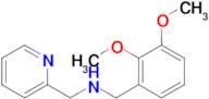 N-(2,3-dimethoxybenzyl)-1-(pyridin-2-yl)methanamine