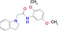 N-(2,5-dimethoxyphenyl)-2-(indolin-1-yl)acetamide