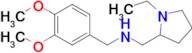 N-(3,4-dimethoxybenzyl)-1-(1-ethylpyrrolidin-2-yl)methanamine