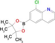 8-Chloro-6-(4,4,5,5-tetramethyl-1,3,2-dioxaborolan-2-yl)quinoline