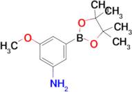 3-Methoxy-5-(4,4,5,5-tetramethyl-1,3,2-dioxaborolan-2-yl)aniline