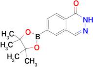 6-(4,4,5,5-Tetramethyl-1,3,2-dioxaborolan-2-yl)phthalazin-1(2H)-one