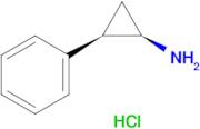 (1R,2R)-2-Phenylcyclopropanamine hydrochloride