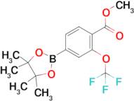 Methyl 4-(4,4,5,5-tetramethyl-1,3,2-dioxaborolan-2-yl)-2-(trifluoromethoxy)benzoate