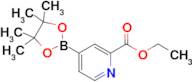 Ethyl 4-(4,4,5,5-tetramethyl-1,3,2-dioxaborolan-2-yl)picolinate