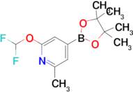 2-(Difluoromethoxy)-6-methyl-4-(4,4,5,5-tetramethyl-1,3,2-dioxaborolan-2-yl)pyridine