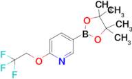 5-(4,4,5,5-Tetramethyl-1,3,2-dioxaborolan-2-yl)-2-(2,2,2-trifluoroethoxy)pyridine