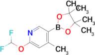 2-(Difluoromethoxy)-4-methyl-5-(4,4,5,5-tetramethyl-1,3,2-dioxaborolan-2-yl)pyridine