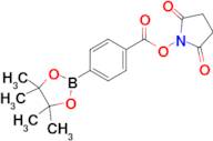2,5-Dioxopyrrolidin-1-yl 4-(4,4,5,5-tetramethyl-1,3,2-dioxaborolan-2-yl)benzoate