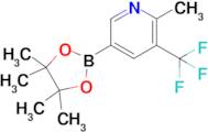 2-Methyl-5-(4,4,5,5-tetramethyl-1,3,2-dioxaborolan-2-yl)-3-(trifluoromethyl)pyridine