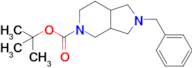 tert-Butyl 2-benzyloctahydro-5H-pyrrolo[3,4-c]pyridine-5-carboxylate