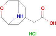 2-(3-Oxa-9-azabicyclo[3.3.1]nonan-7-yl)acetic acid hydrochloride