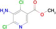 Methyl 5-amino-4,6-dichloronicotinate