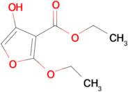 ethyl 2-ethoxy-4-hydroxyfuran-3-carboxylate