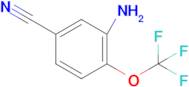 3-Amino-4-(trifluoromethoxy)benzonitrile