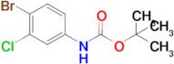 tert-Butyl (4-bromo-3-chlorophenyl)carbamate