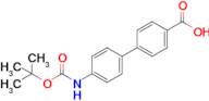 4'-((tert-Butoxycarbonyl)amino)-[1,1'-biphenyl]-4-carboxylic acid