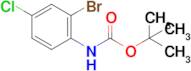 tert-Butyl (2-bromo-4-chlorophenyl)carbamate