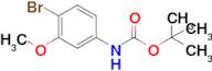 tert-Butyl (4-bromo-3-methoxyphenyl)carbamate