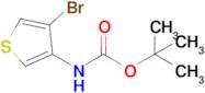 tert-Butyl (4-bromothiophen-3-yl)carbamate