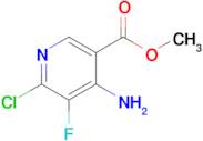 Methyl 4-amino-6-chloro-5-fluoronicotinate