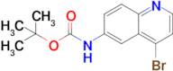 tert-Butyl (4-bromoquinolin-6-yl)carbamate