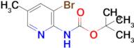 tert-Butyl (3-bromo-5-methylpyridin-2-yl)carbamate