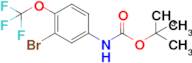 tert-Butyl (3-bromo-4-(trifluoromethoxy)phenyl)carbamate