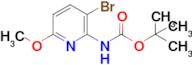 tert-Butyl (3-bromo-6-methoxypyridin-2-yl)carbamate