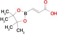 (E)-3-(4,4,5,5-Tetramethyl-1,3,2-dioxaborolan-2-yl)acrylic acid