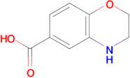 3,4-Dihydro-2H-benzo[b][1,4]oxazine-6-carboxylic acid