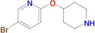 5-Bromo-2-(piperidin-4-yloxy)pyridine