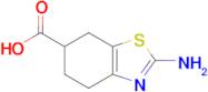 2-Amino-4,5,6,7-tetrahydrobenzo[d]thiazole-6-carboxylic acid