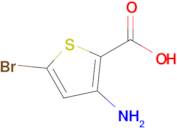 3-Amino-5-bromothiophene-2-carboxylic acid