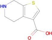 4,5,6,7-Tetrahydrothieno[2,3-c]pyridine-3-carboxylic acid